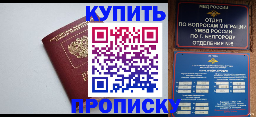 прописка регистрация в Вольске